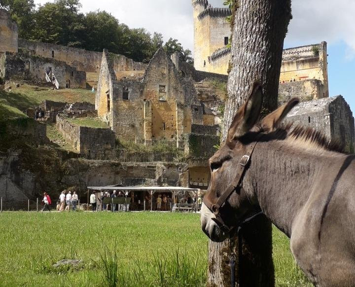 Au pas de l'âne-Les Eyzies-de-Tayac-Sireuil必去景点