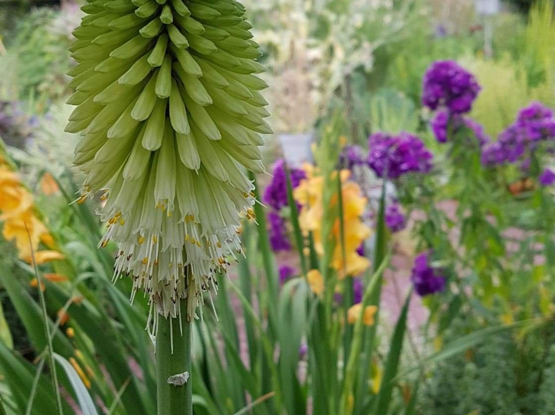 Le Jardin Secret De Pan景点图片