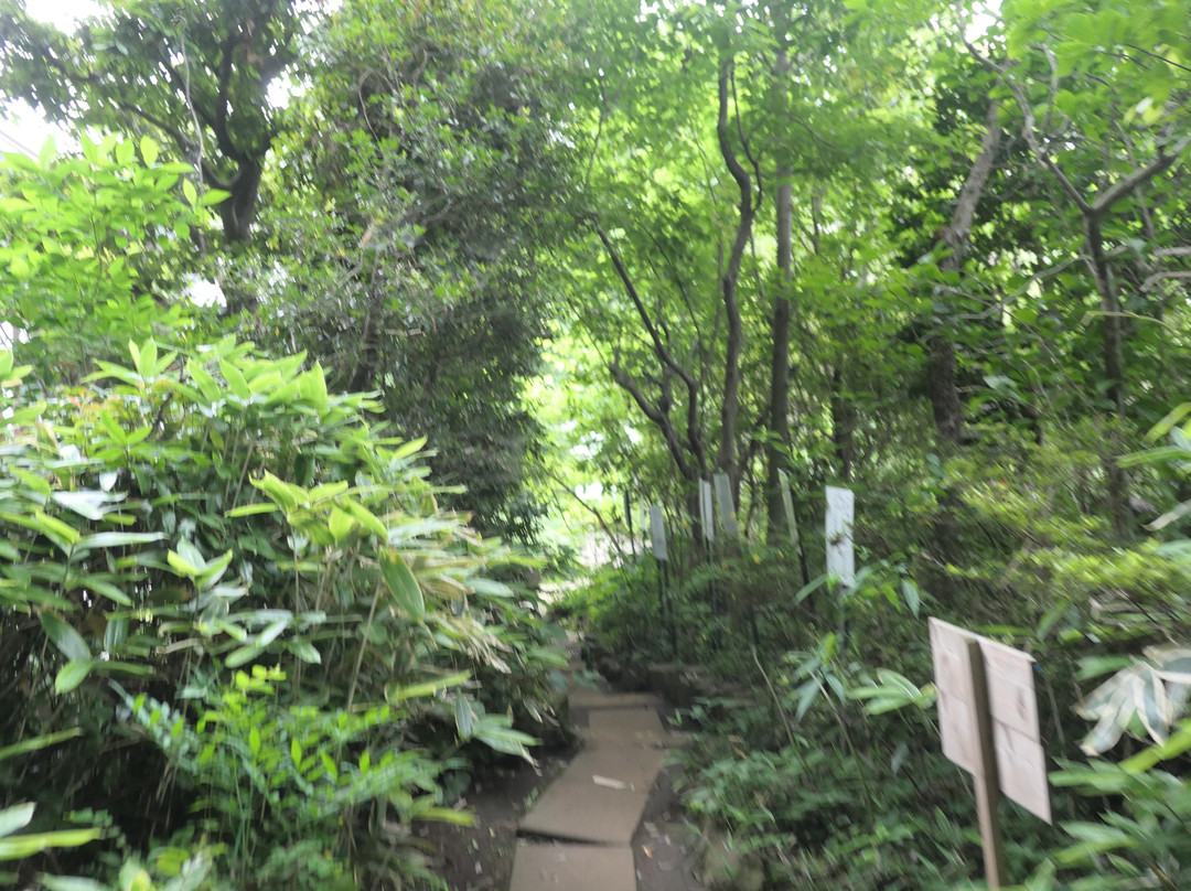 Manyo Botanical Garden-国分寺市必去景点