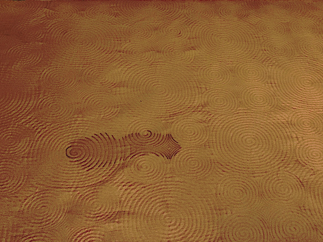 Moose Lake Lodge主图