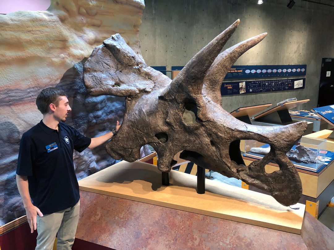 T. rex Discovery Centre-Eastend必去景点