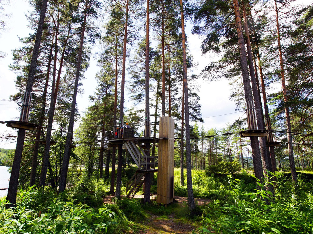 Klatreskogen Grand Park-Hornnes必去景点