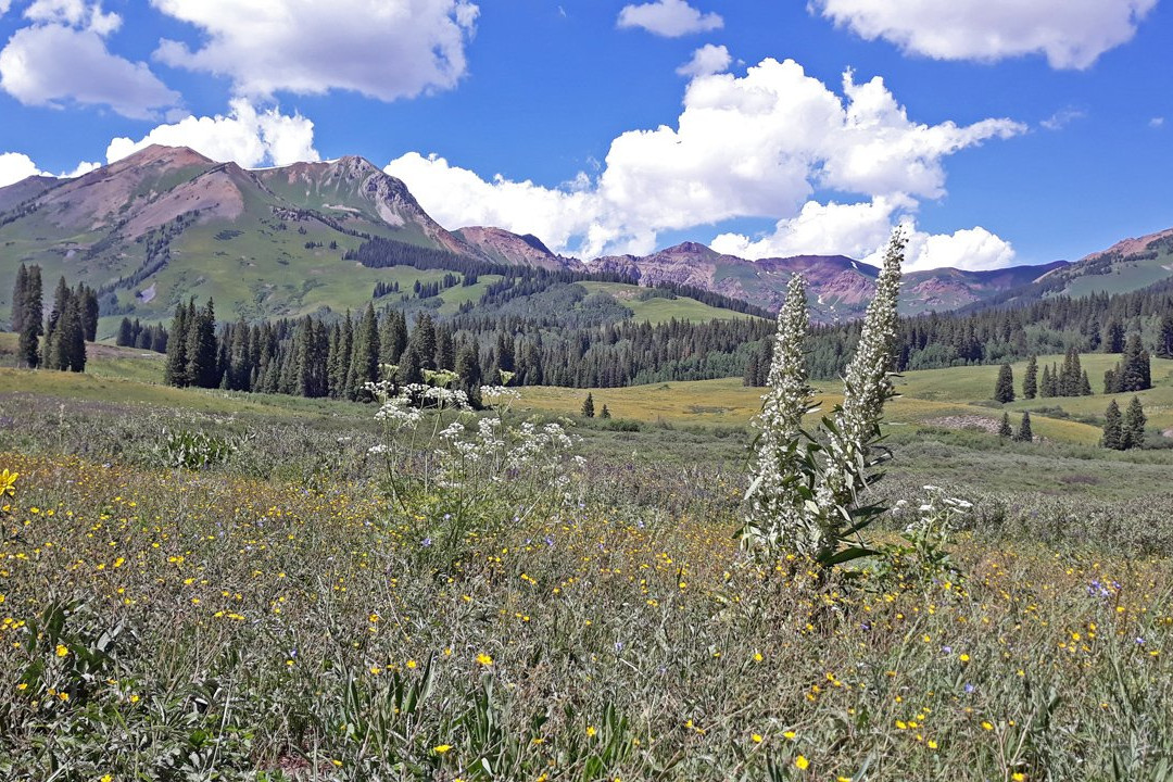 Schofield Pass-克雷斯特德比特必去景点