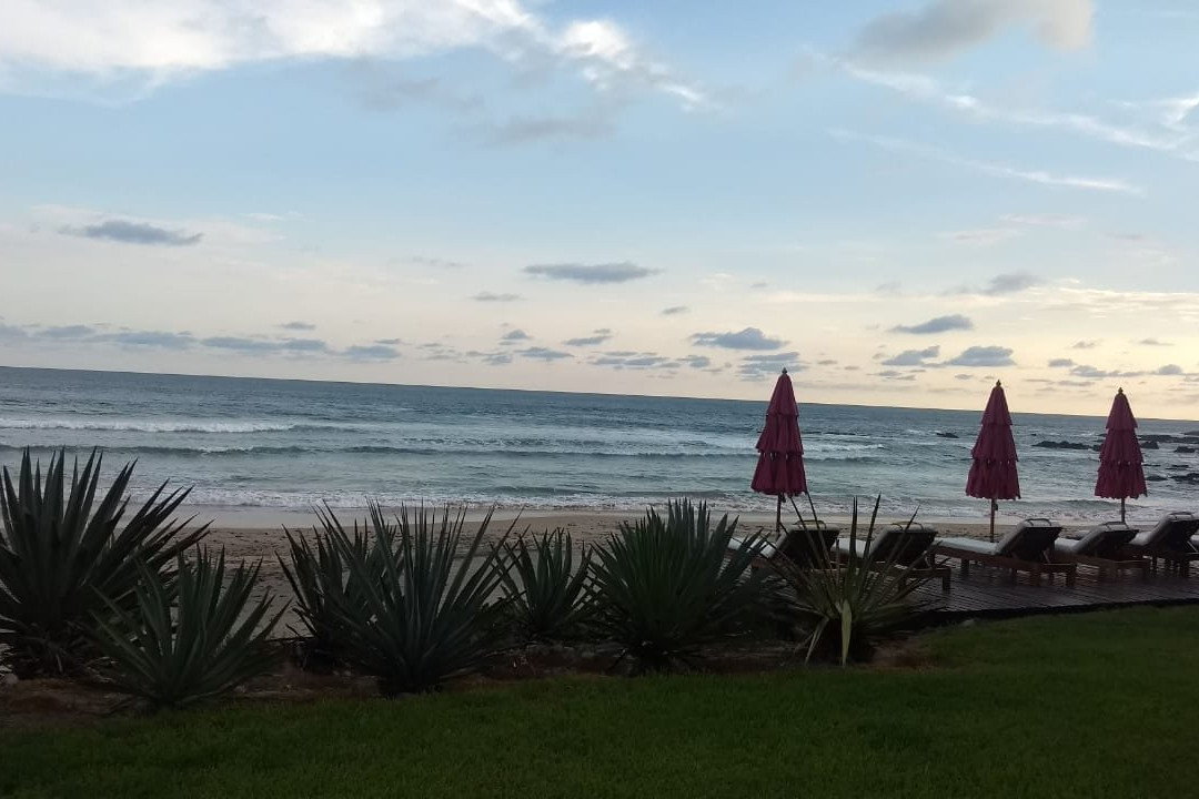 Las Alamandas Resort主图