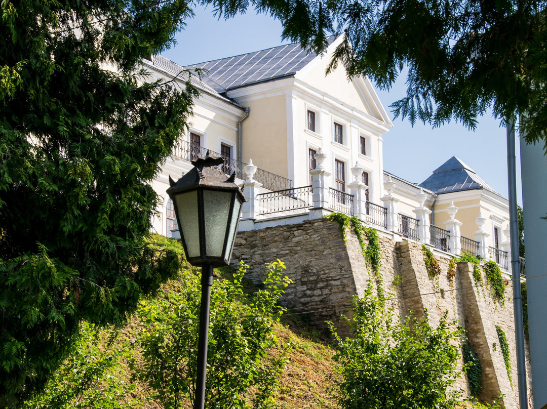 Vishnevetskikh Palace-Vishnevets必去景点
