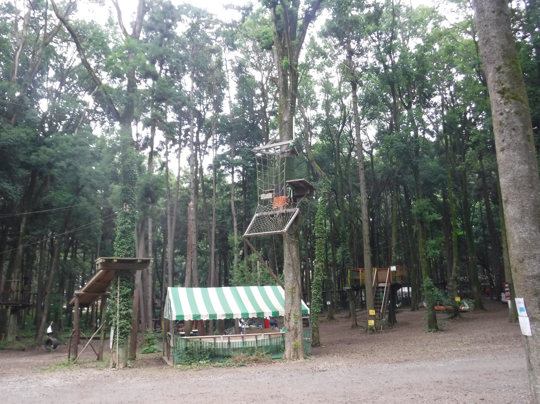 Kashiwa Shonan Yume Farm-柏市必去景点