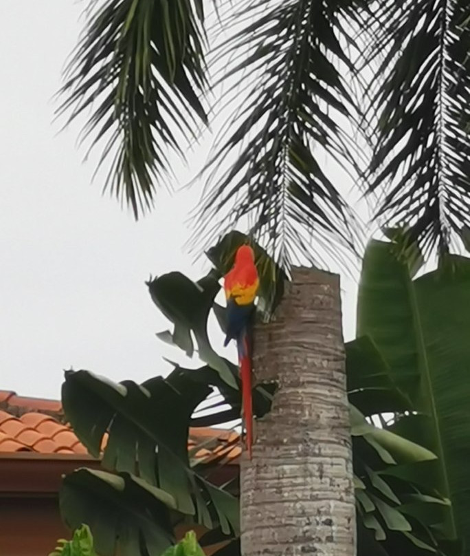 Hermosa Palms B&B主图