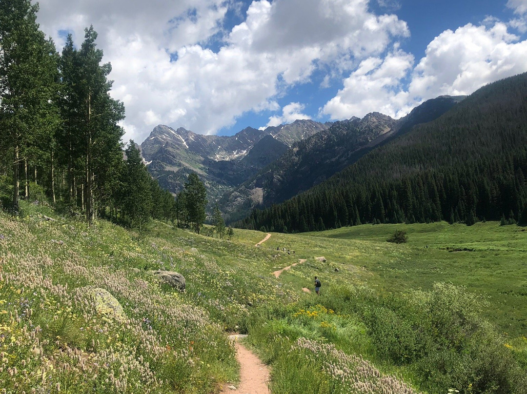 Piney River Trail (Upper)-韦尔必去景点