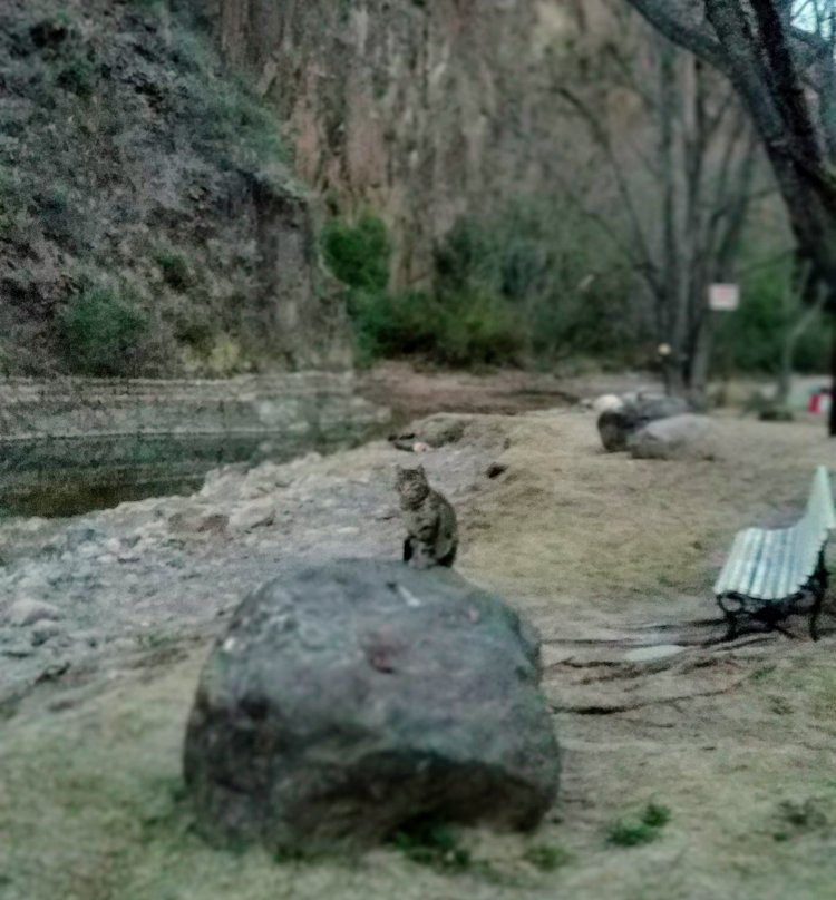 Cabañas Del Sol主图