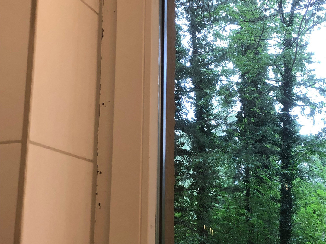 Hotel Schloss Ragaz主图