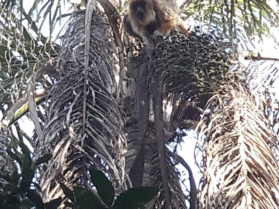 Posada El Yacare主图