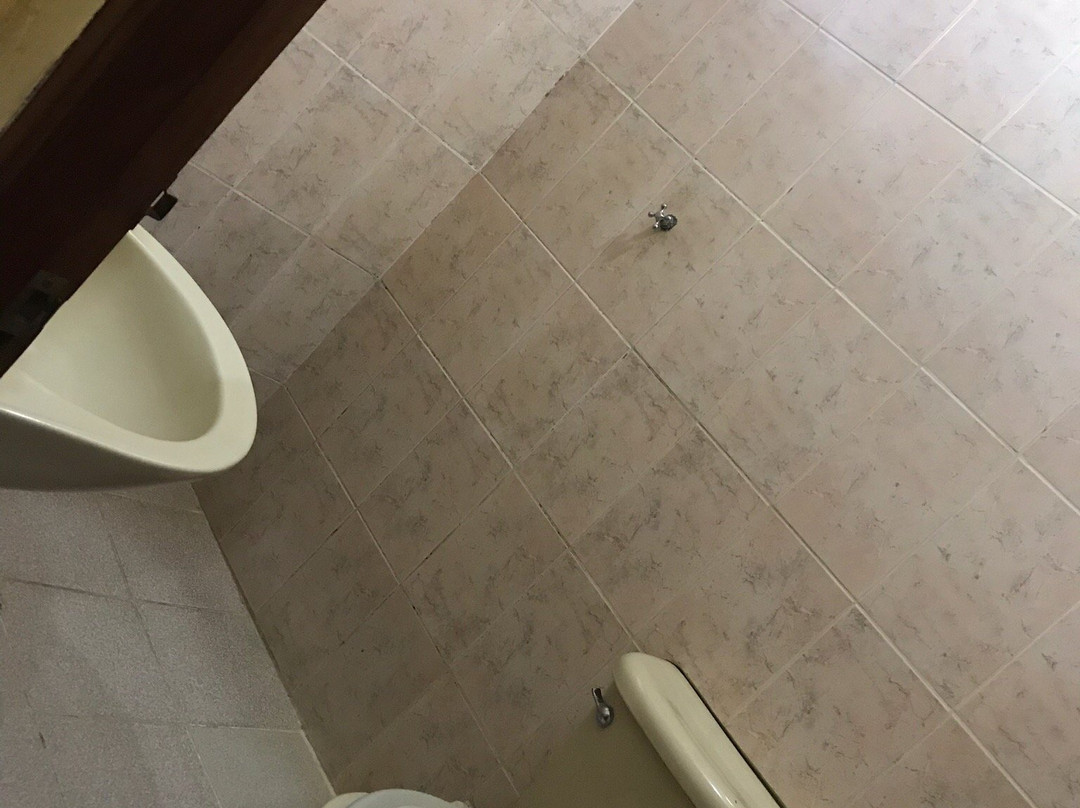 Los Tucanes de Rurre主图