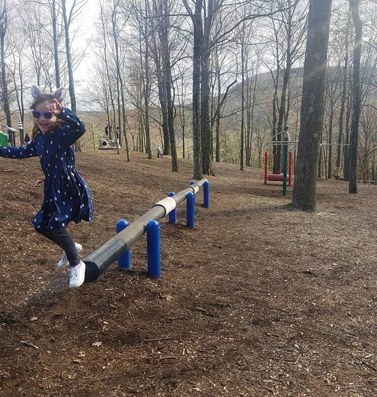 Mountain View Park-坦纳斯维尔必去景点