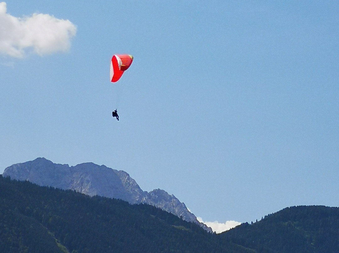 Tandem Paragliding Austria景点图片