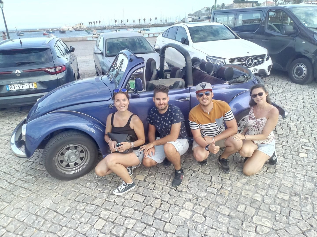 Mr Driver-塞新布拉必去景点