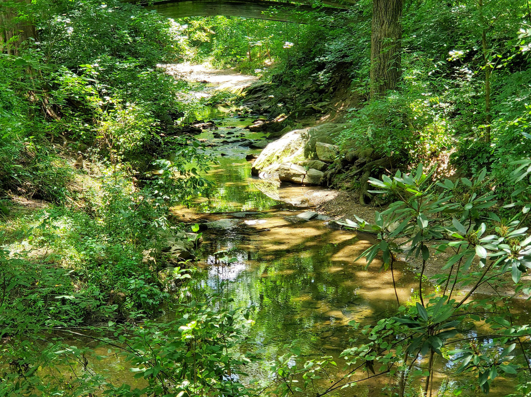 Asheville Botanical Garden景点图片