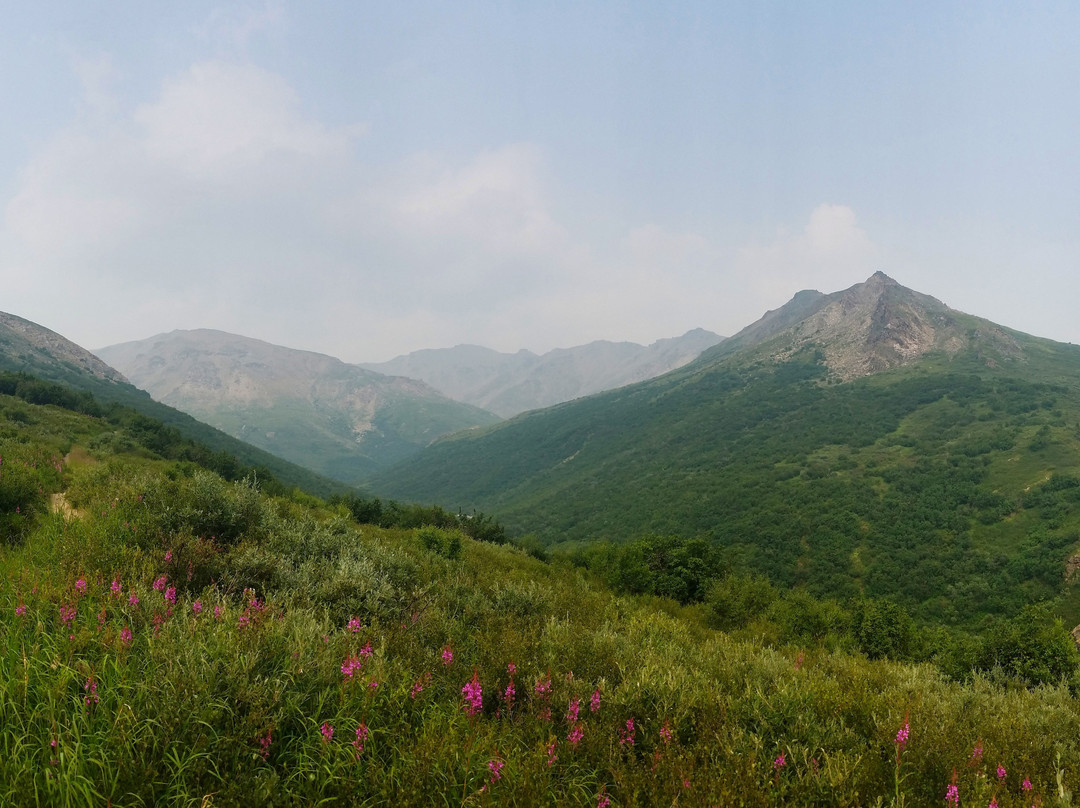 Savage Alpine Trail-德纳利国家公园和自然保护区必去景点