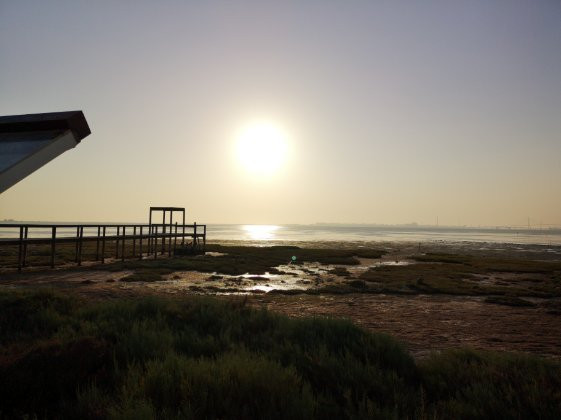 Bahía de Cádiz Natural Park景点图片