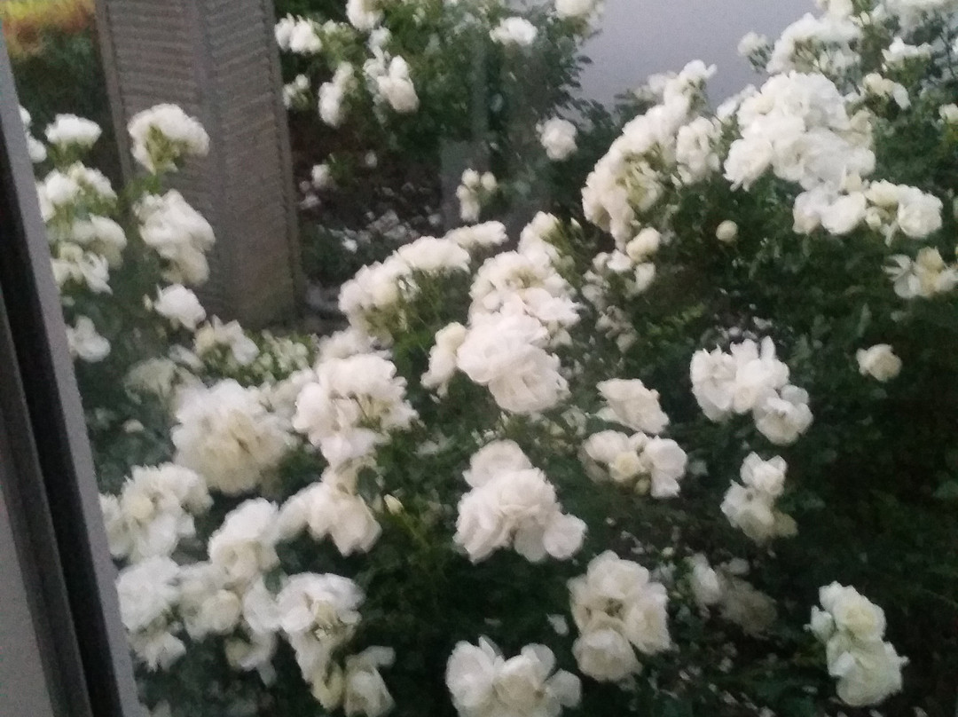 Shirehaven Bed And Breakfast主图