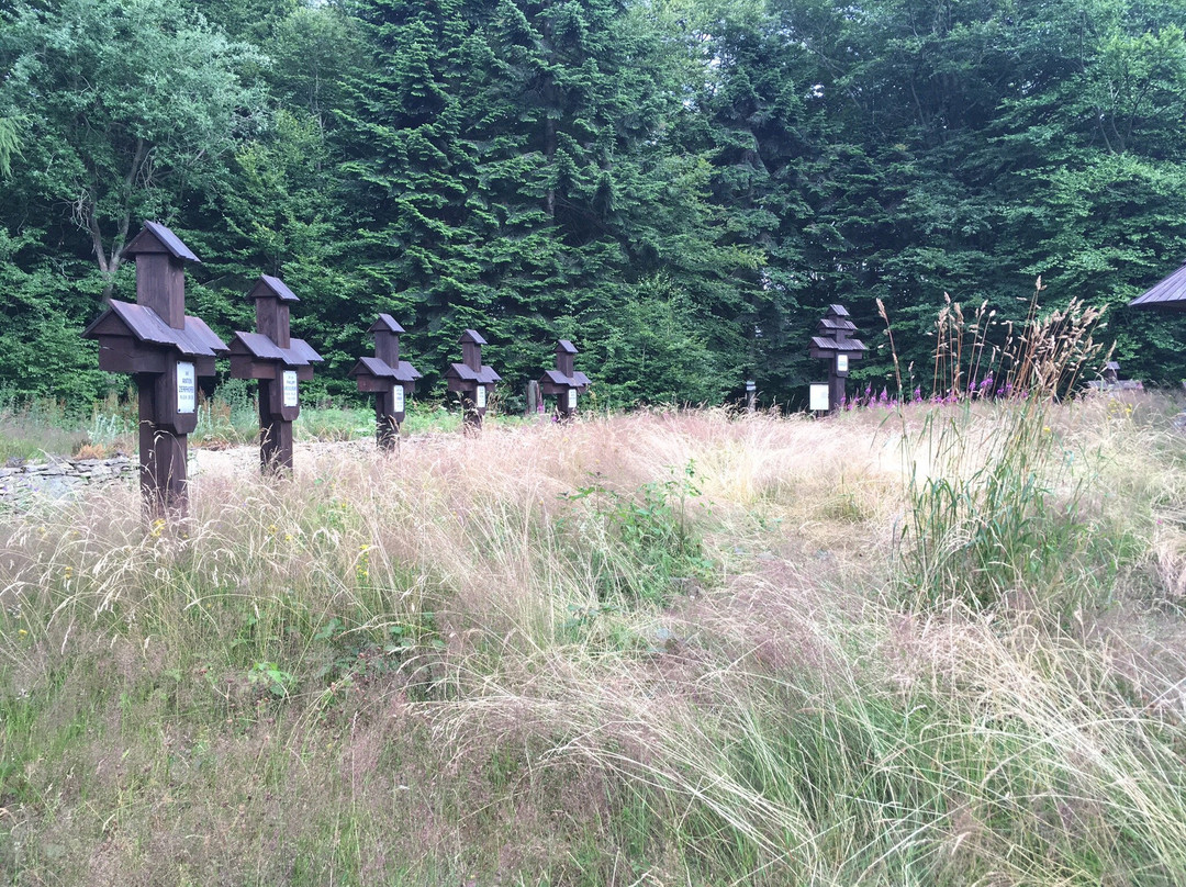 World War I Cemetery no 51-Regietow必去景点