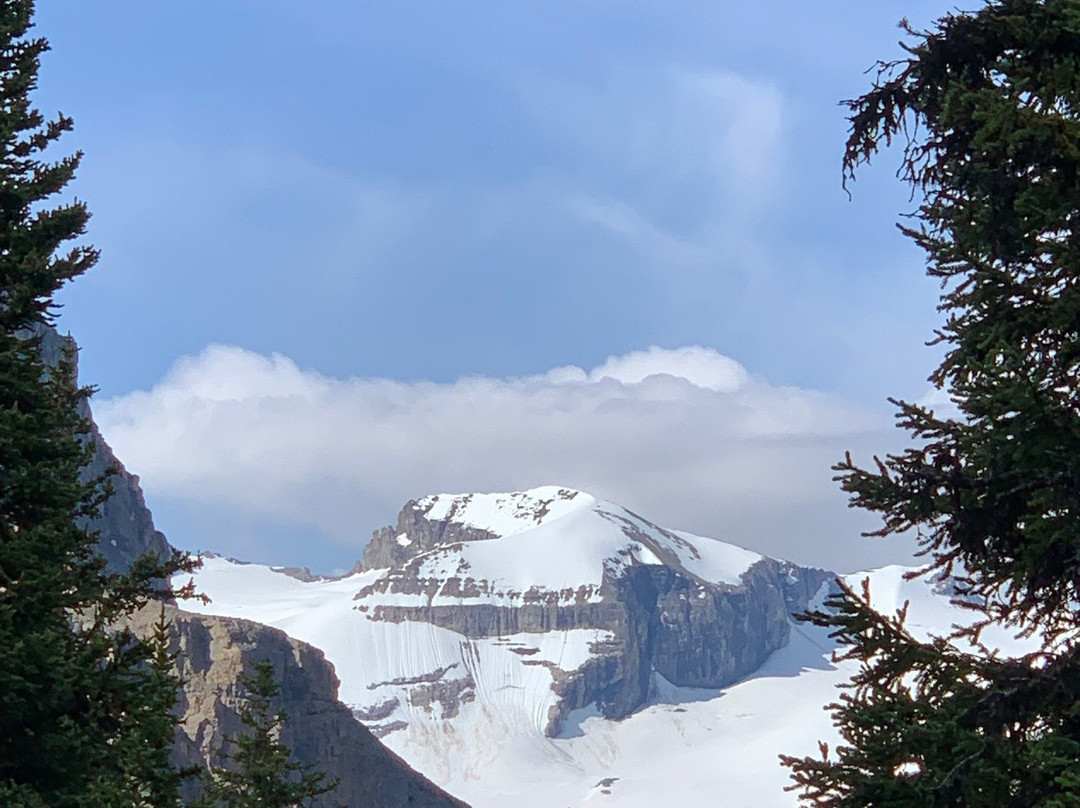 Bow Glacier Falls Trail景点图片