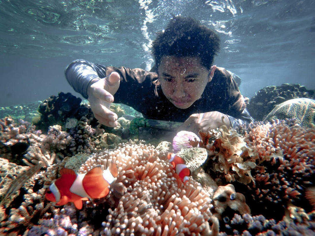 SAMITRA WISATA-玛琅必去景点