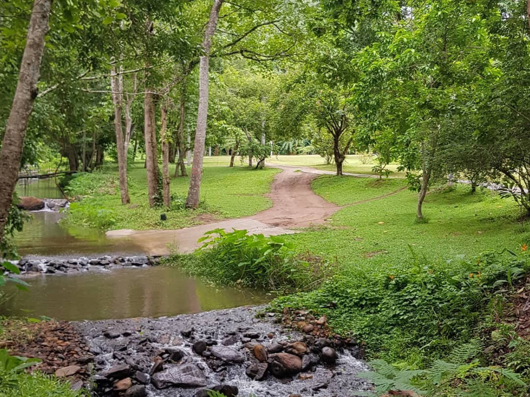 Wat Pa Tam Wua景点图片