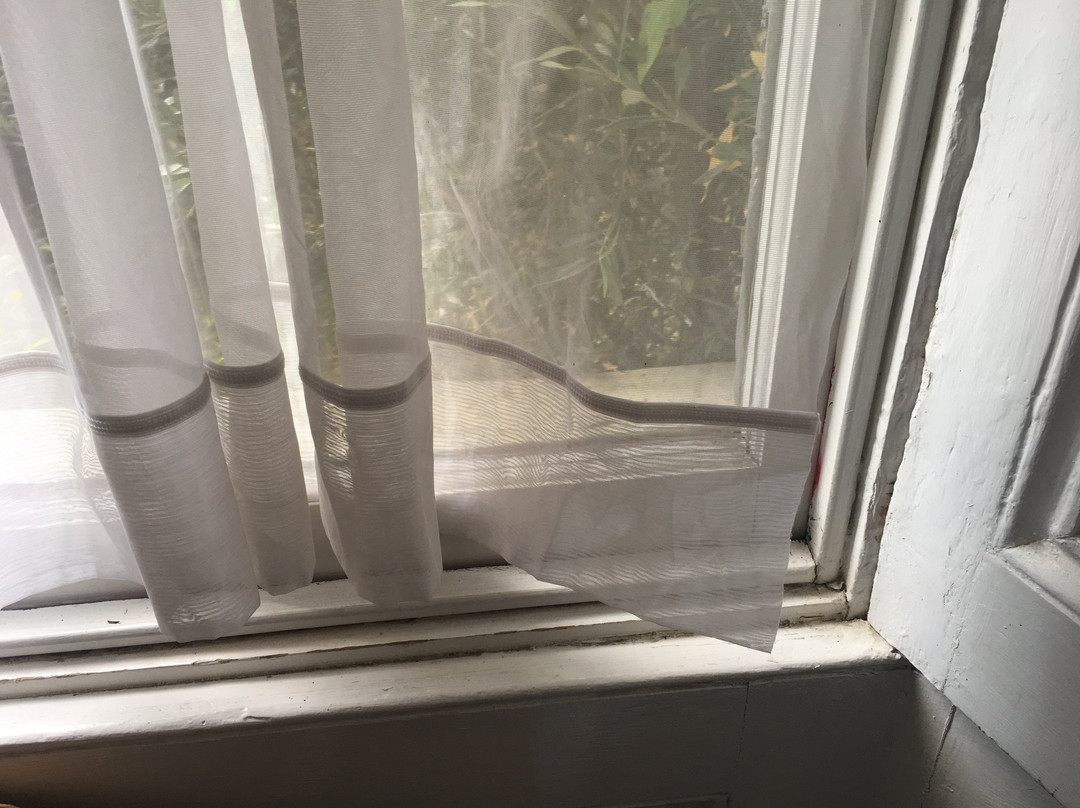 Spring Garden Guest House主图