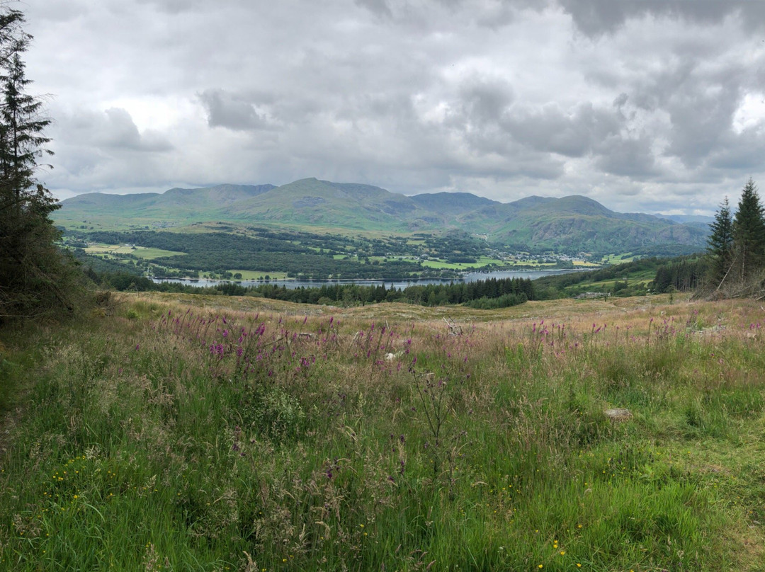 Grizedale Mountain Bikes景点图片