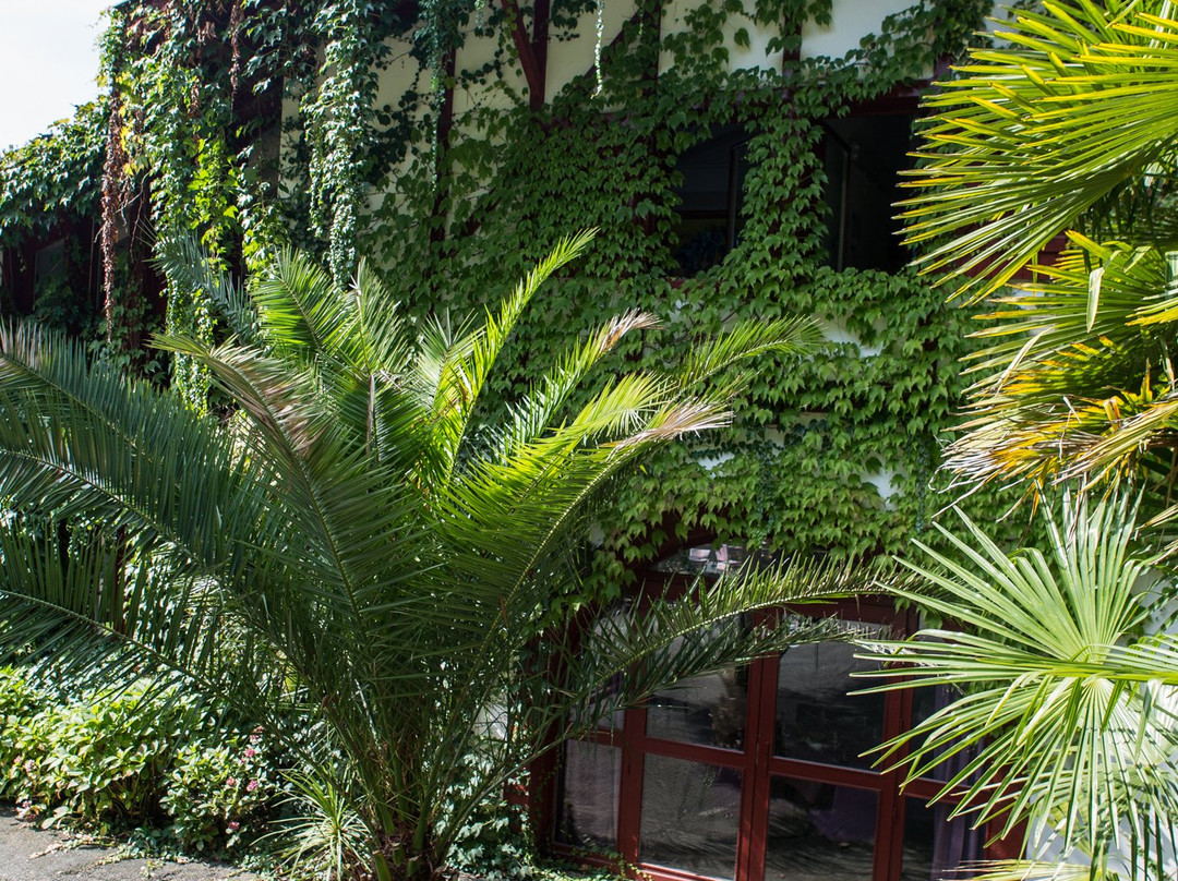 伊杜克丘陵酒店主图