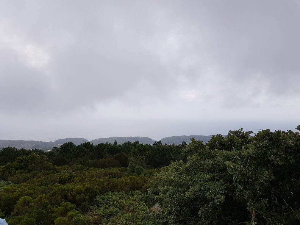 Penedo de Adrenunes景点图片