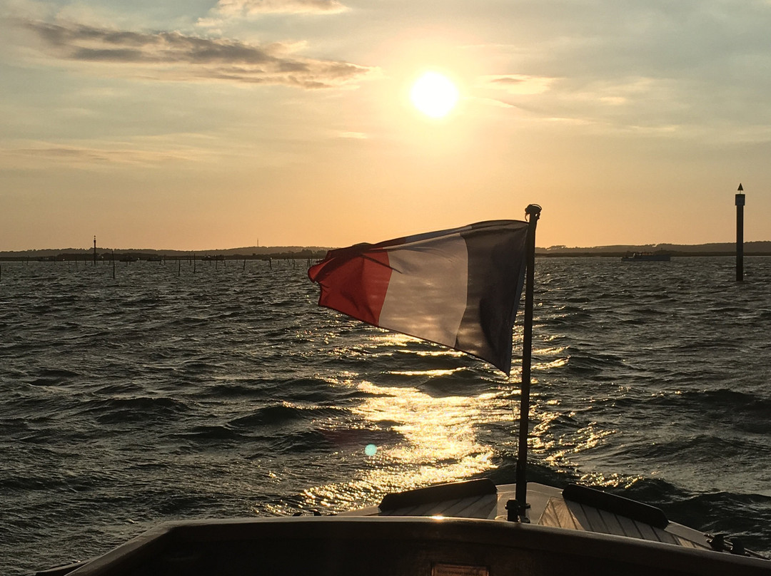 Île aux Oiseaux景点图片