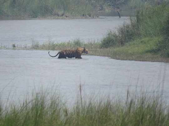 null-巴迪亚国家公园