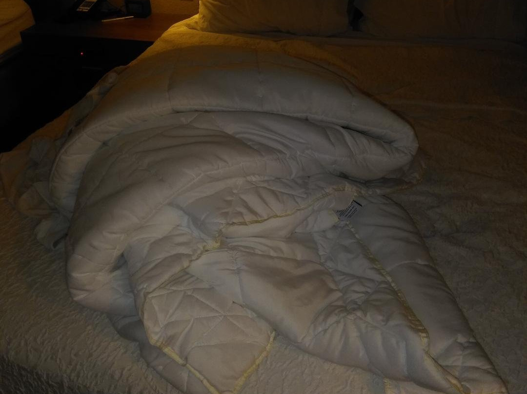 Hammond旅游攻略图片