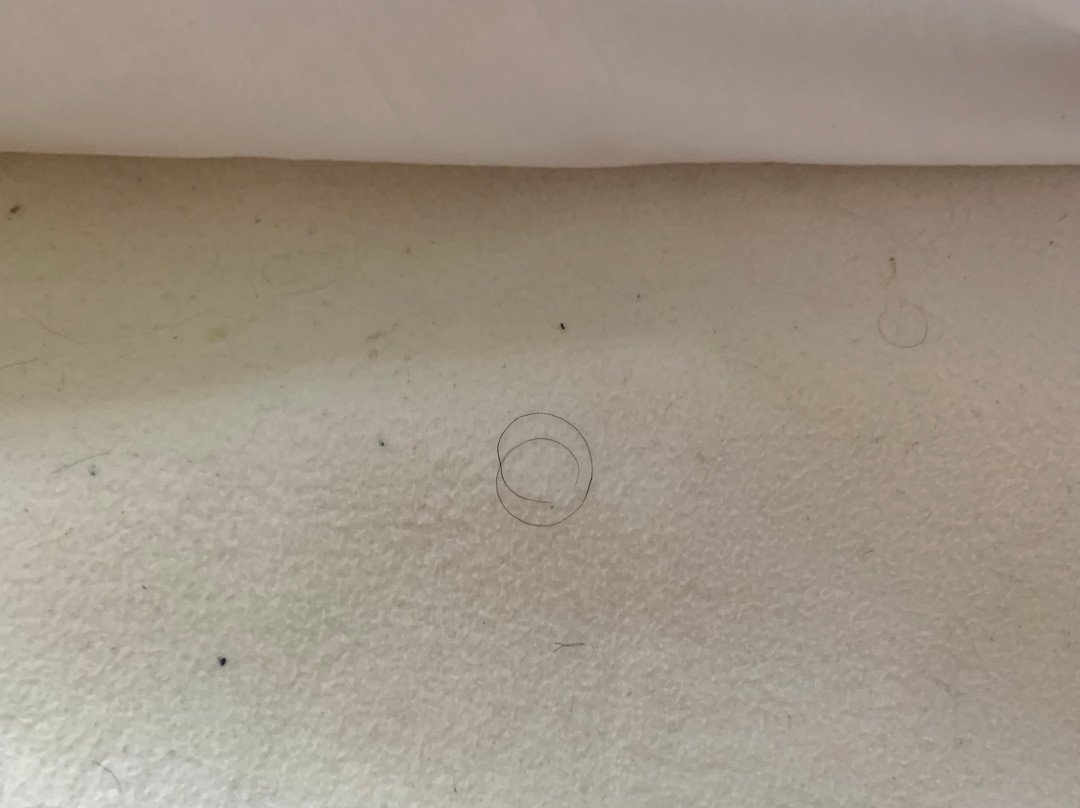 Plantation Motel主图