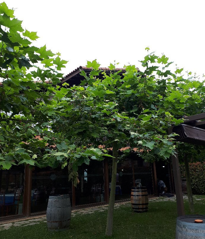 Casa Rural Larrakoetxea主图