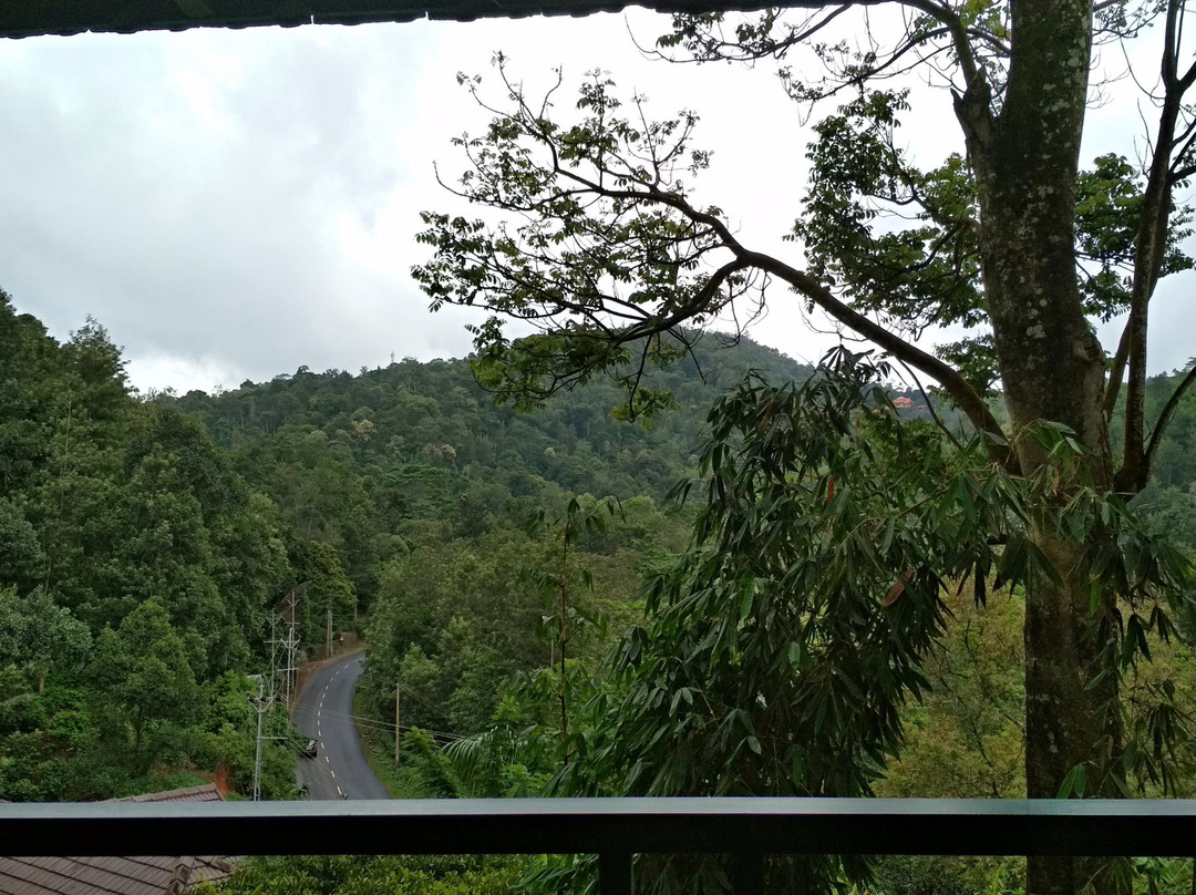 Forest Canopy Thekkady主图