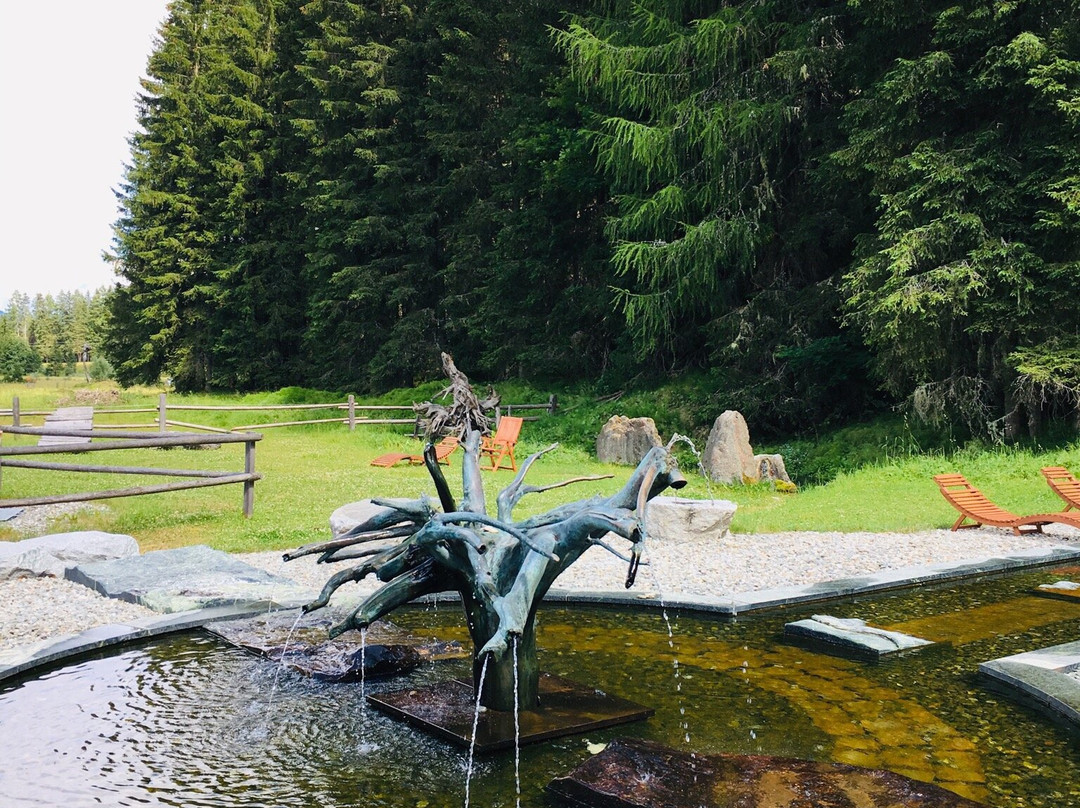 Urlaubsregion Defereggental - Tourismusinformtion St. Jakob景点图片