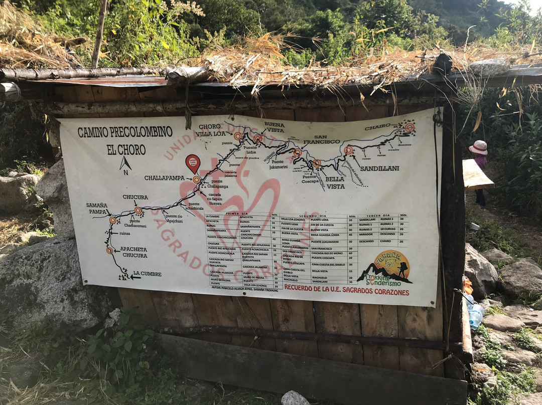 El Choro Trail-拉巴斯必去景点