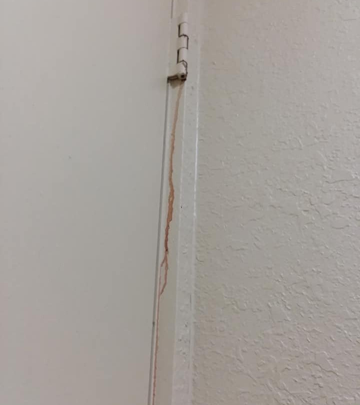 Rodeway Inn Metro Airport主图