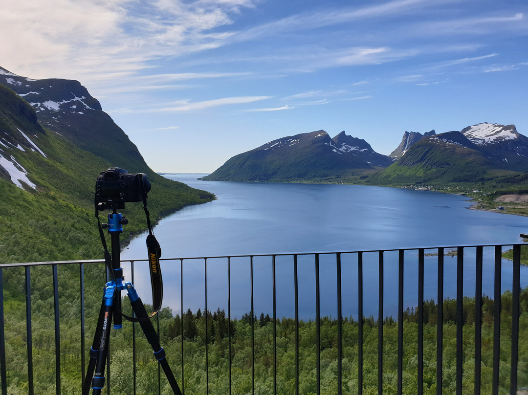 Scenic Route Senja
