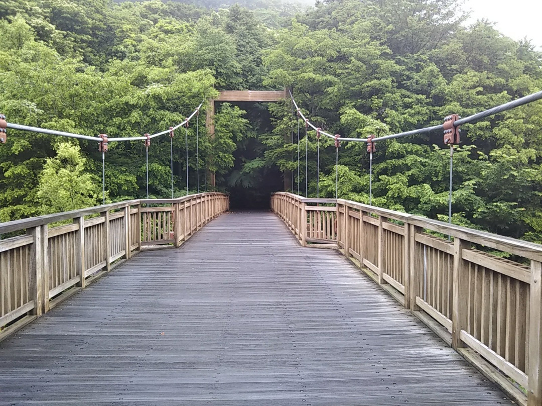 Deai-bashi Bridge-十和田市必去景点