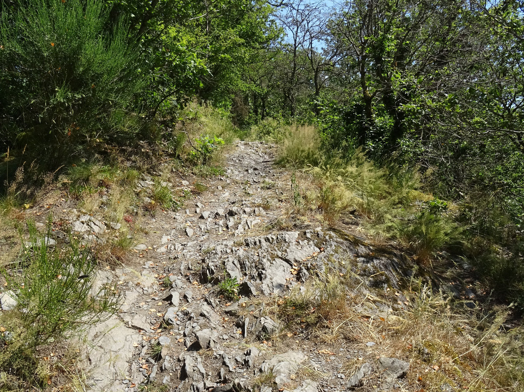 Barrage de Nisramont景点图片