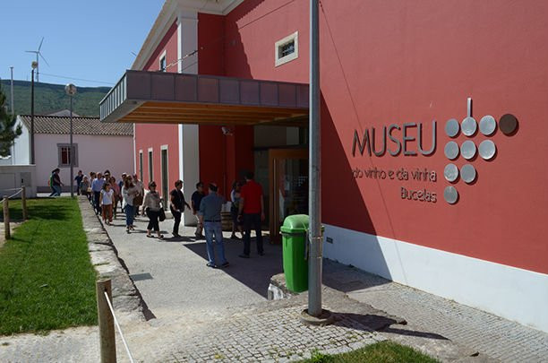 Museu do Vinho e da Vinha de Bucelas景点图片