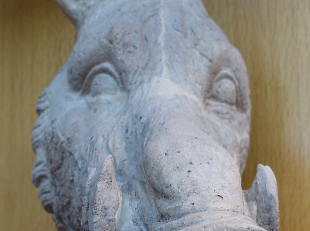 Museo Archeologico Provinciale di Salerno景点图片
