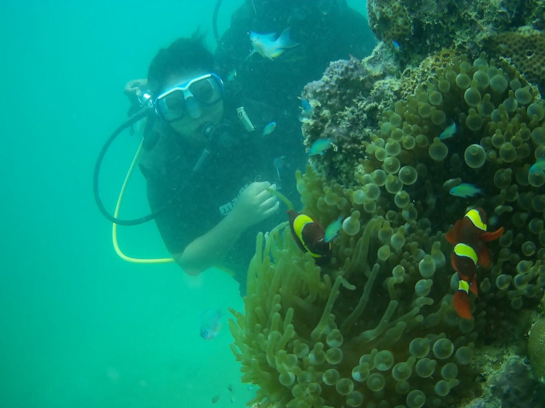 Andaman Bubbles-哈夫洛克岛必去景点