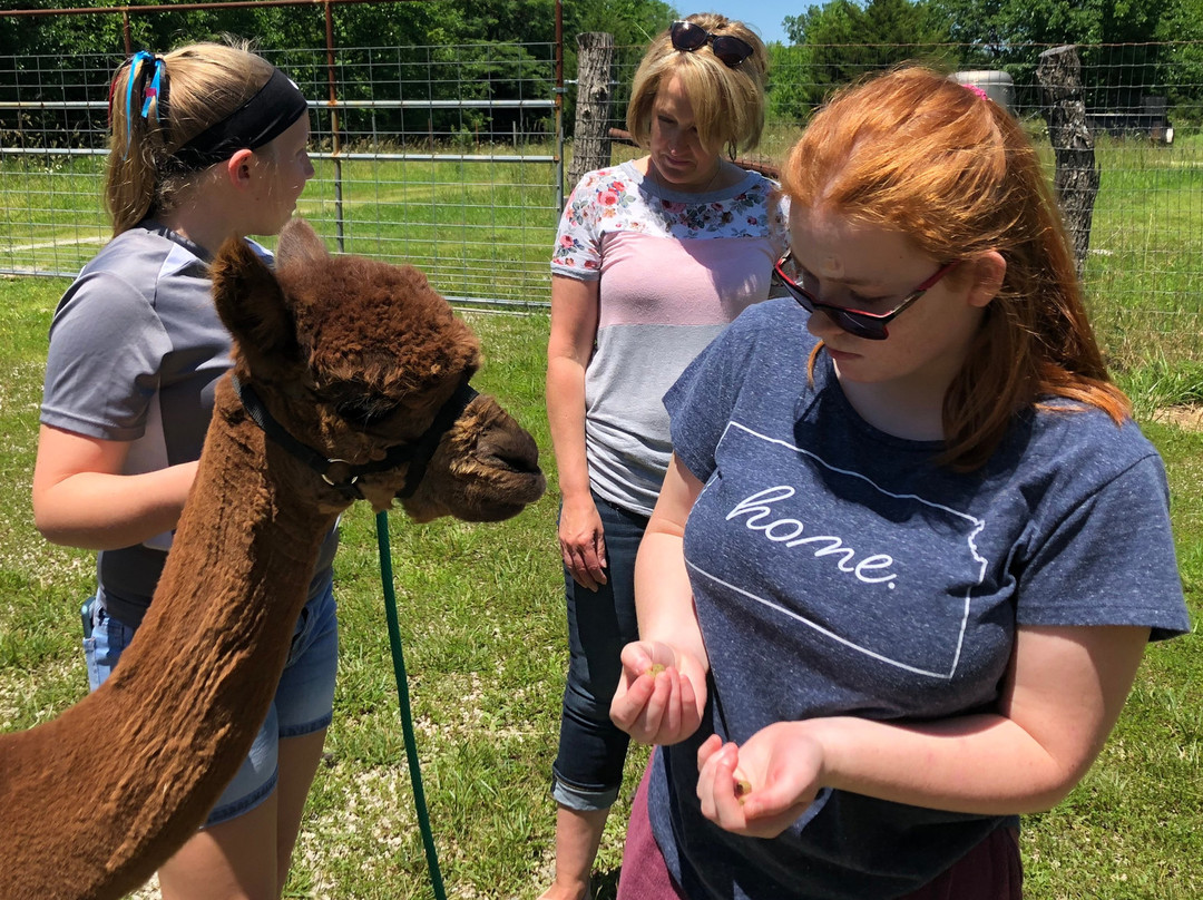 Manna Meadows Alpacas-Bonner Springs必去景点