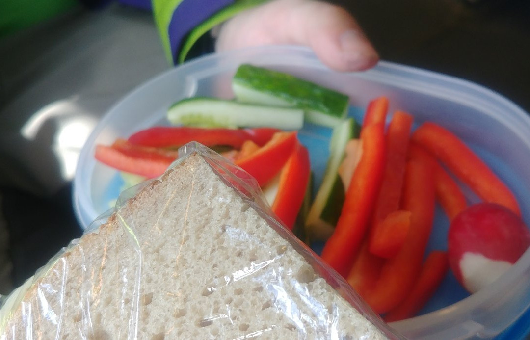 Ferienpension und Gaststätte Seeblick主图