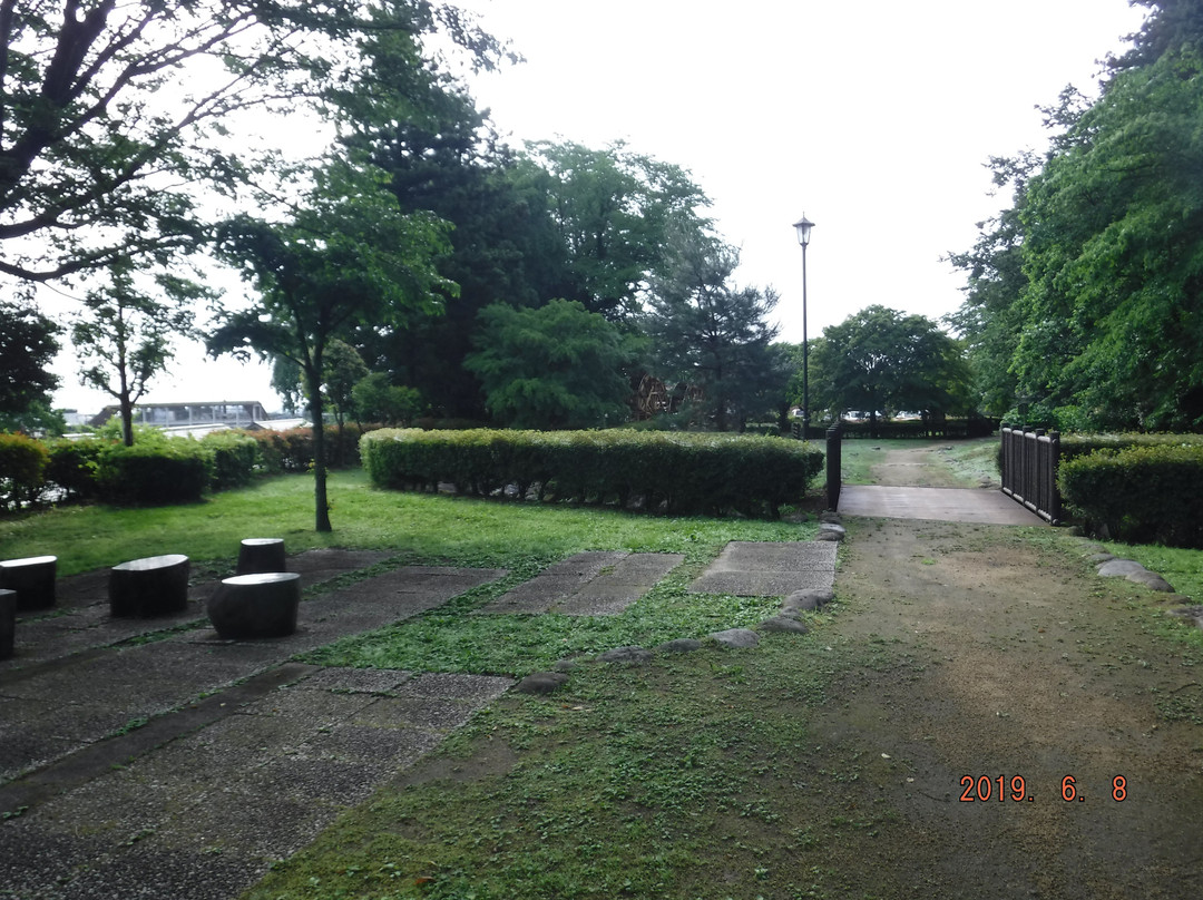 Suginamiki Park景点图片