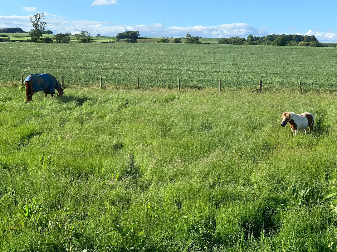 Elmfield House主图